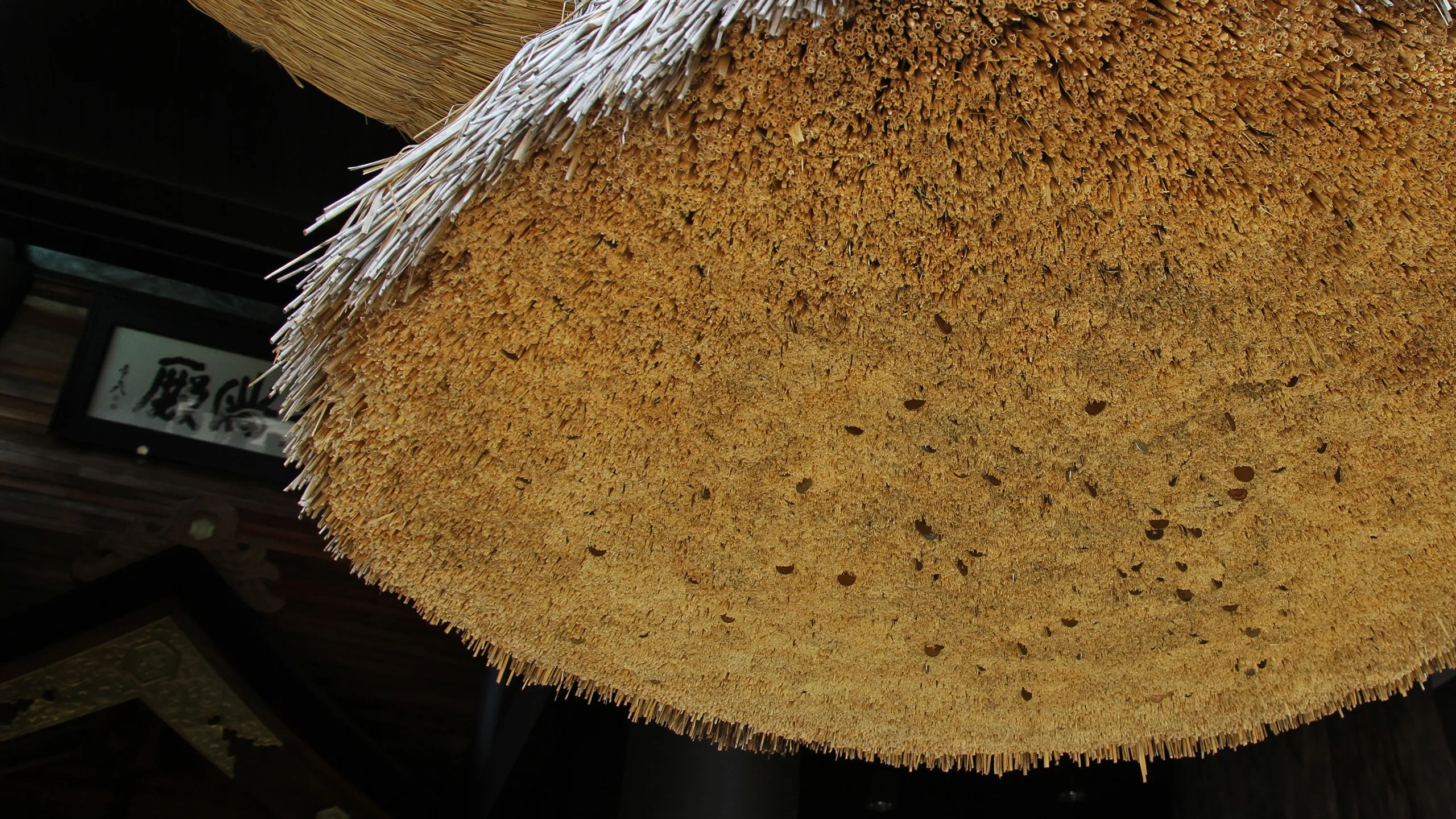 常陸国出雲大社