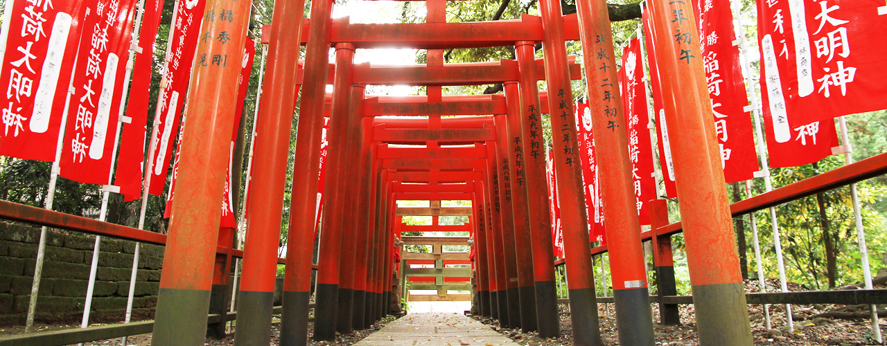 大杉神社2015