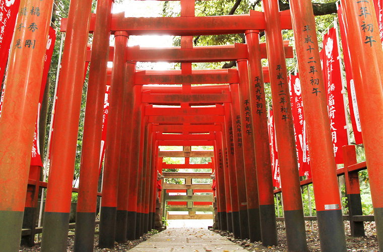 大杉神社2015