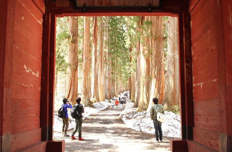 戸隠神社 奥之院 随神門