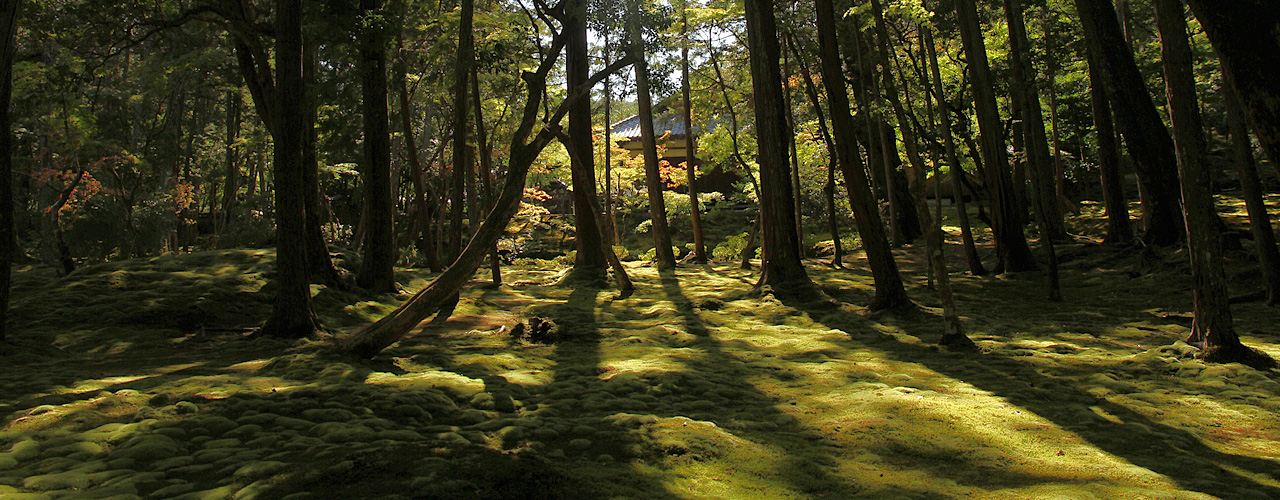 京都 西芳寺 2020