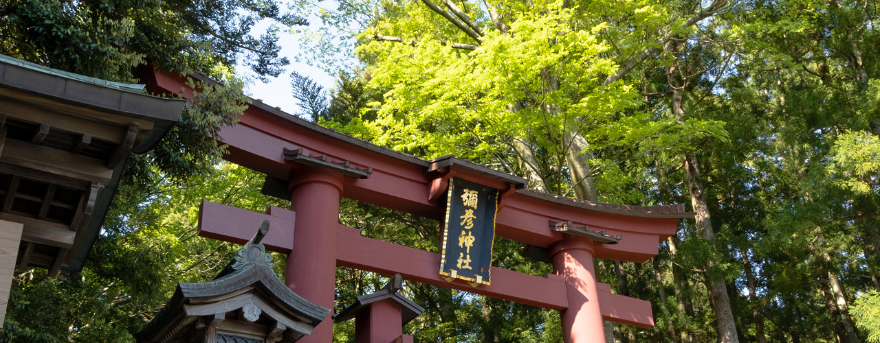 新潟 弥彦神社 2022