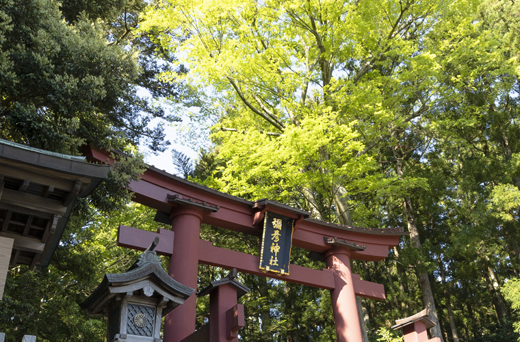 新潟 弥彦神社 2022